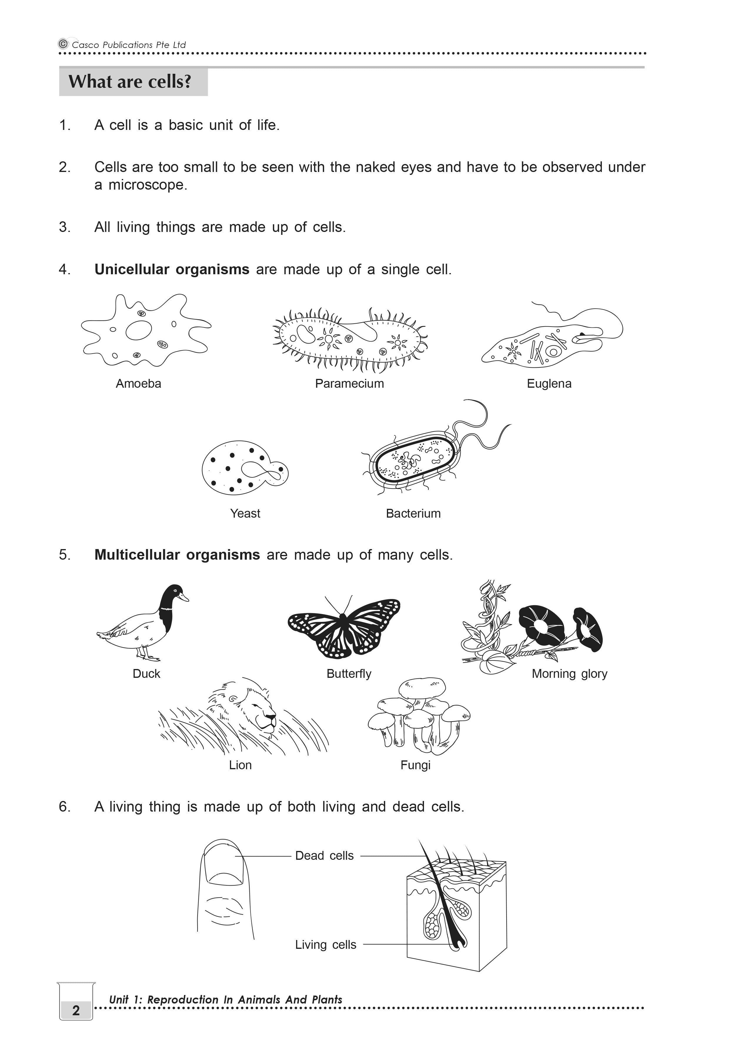 New Topical Science Primary 5 - 2nd Edition