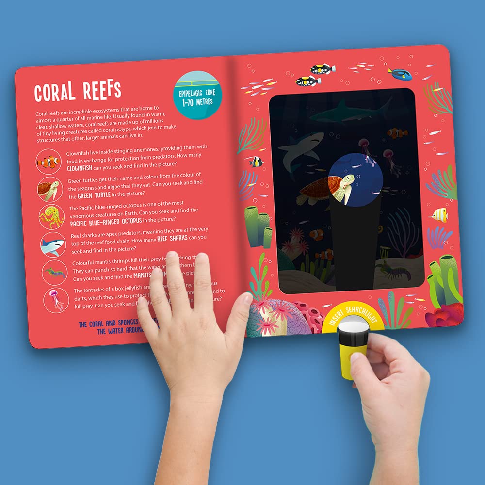 Seek & Find: Ocean Animals