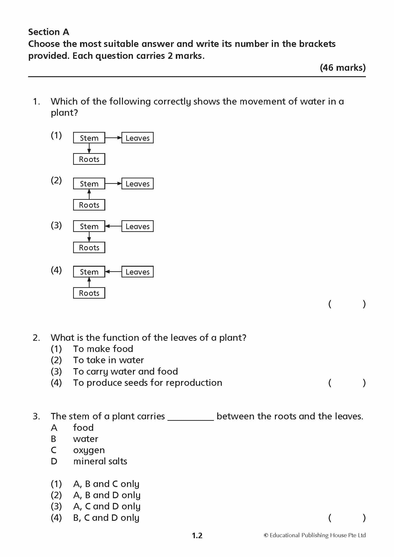 Primary 4 Science Mid-year Review Papers