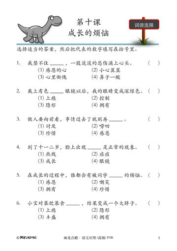 P5B 画龙点睛-高级华文语文应用-3rd Edition