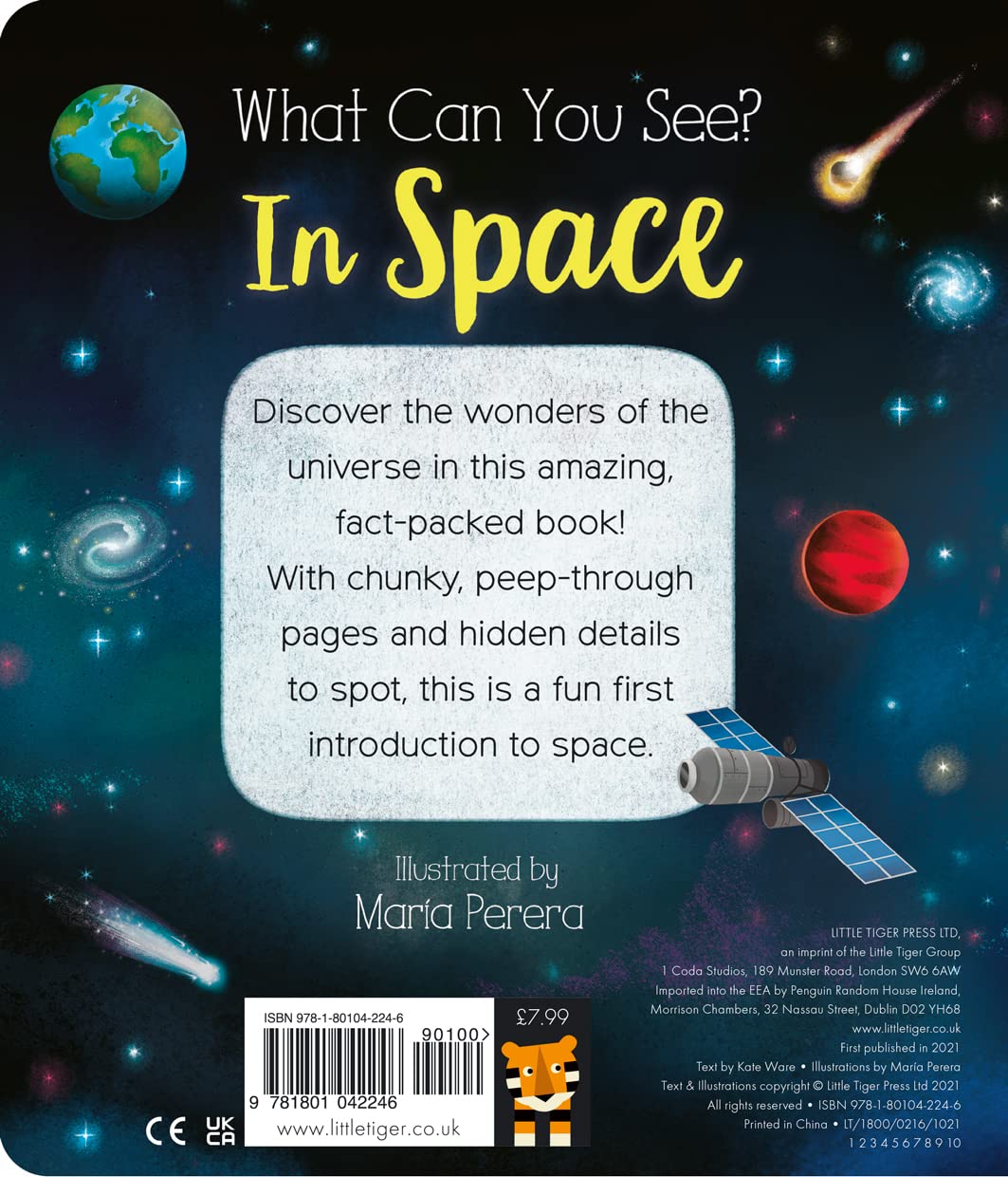 What Can You See In Space? (Boardbook)