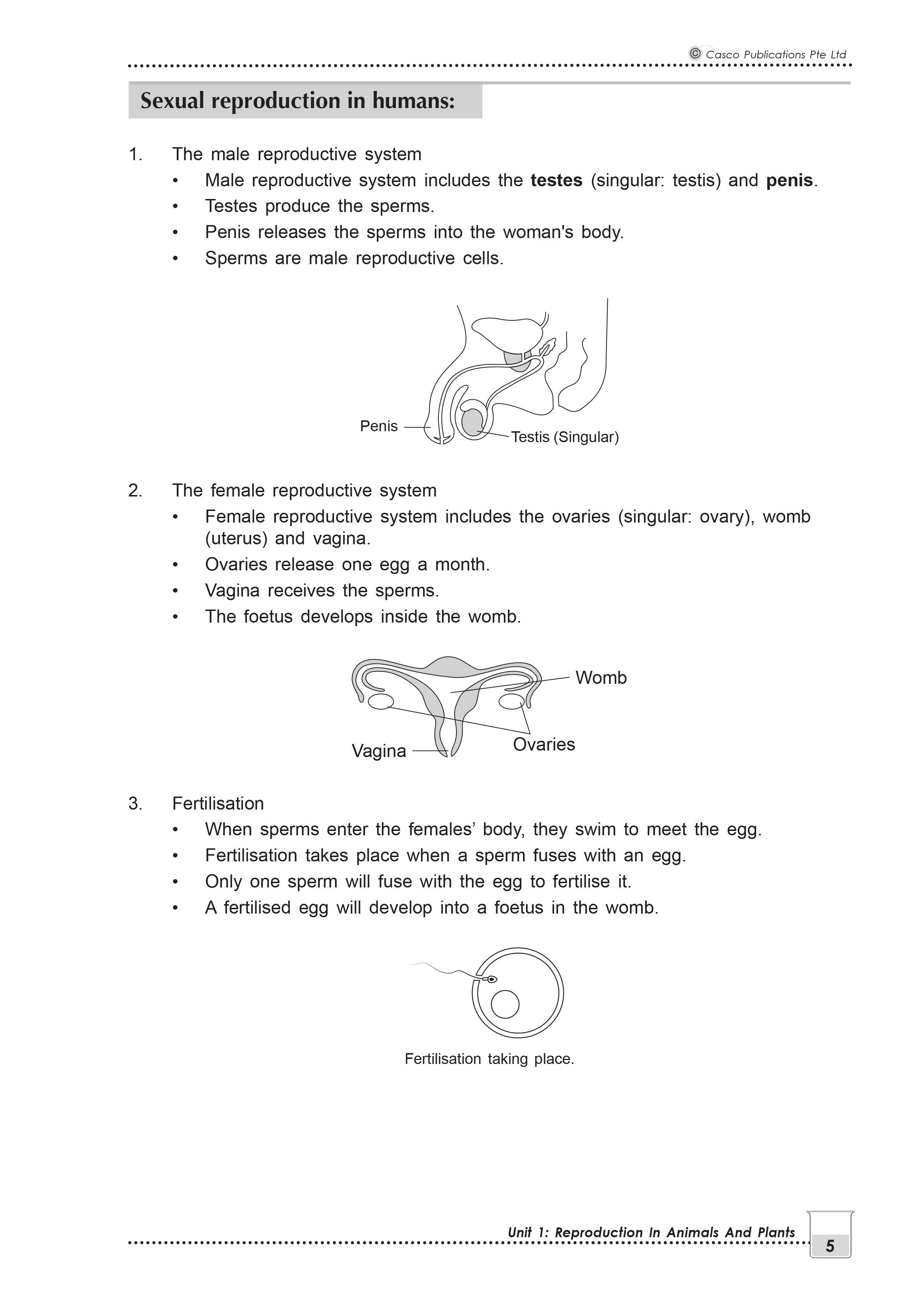 New Topical Science Primary 5 - 2nd Edition