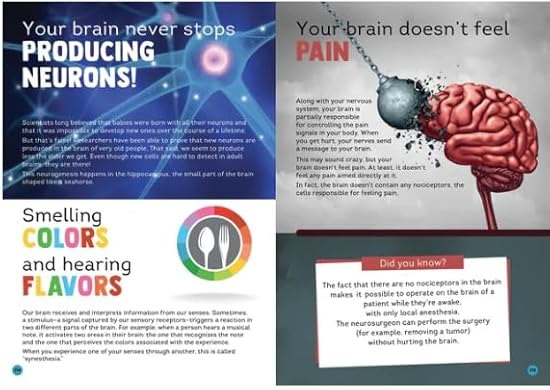 C-300 Funtastic Facts