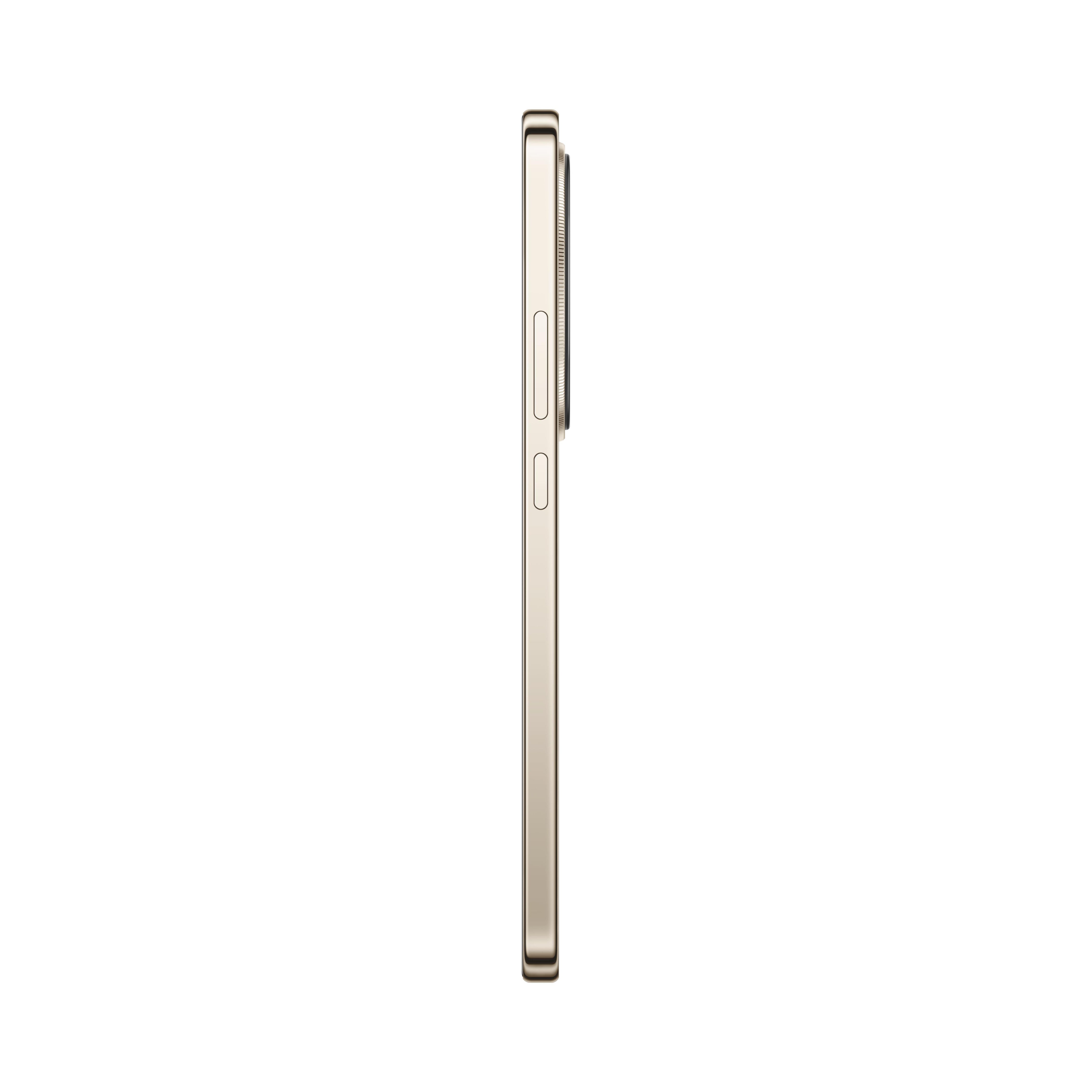 Honor X9D (12+256GB) - Gold