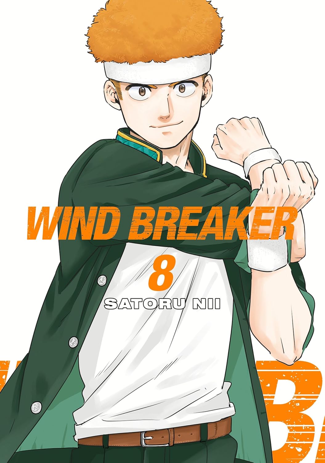 Wind Breaker 08 (Manga)