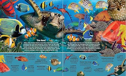 C-garry Fleming's Sea Animals (bk & Pz)
