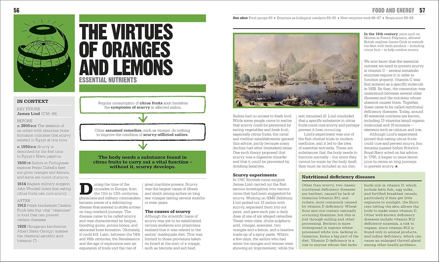 The Biology Book: Big Ideas Simply Explained (Hardcover)