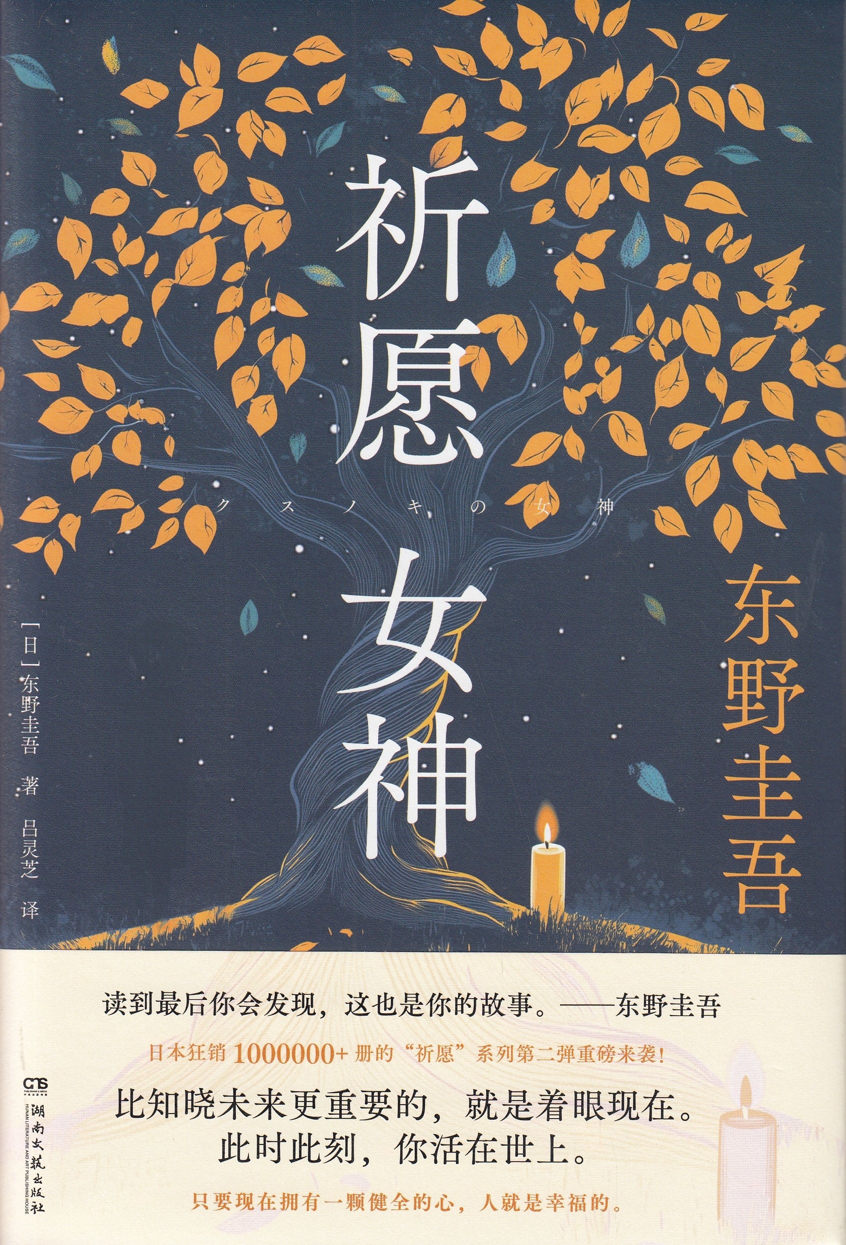 祈愿女神/湖南文艺