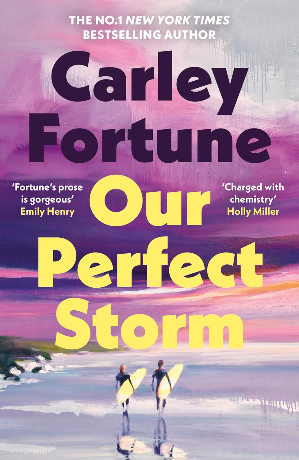 Our Perfect Storm (Hardcover)