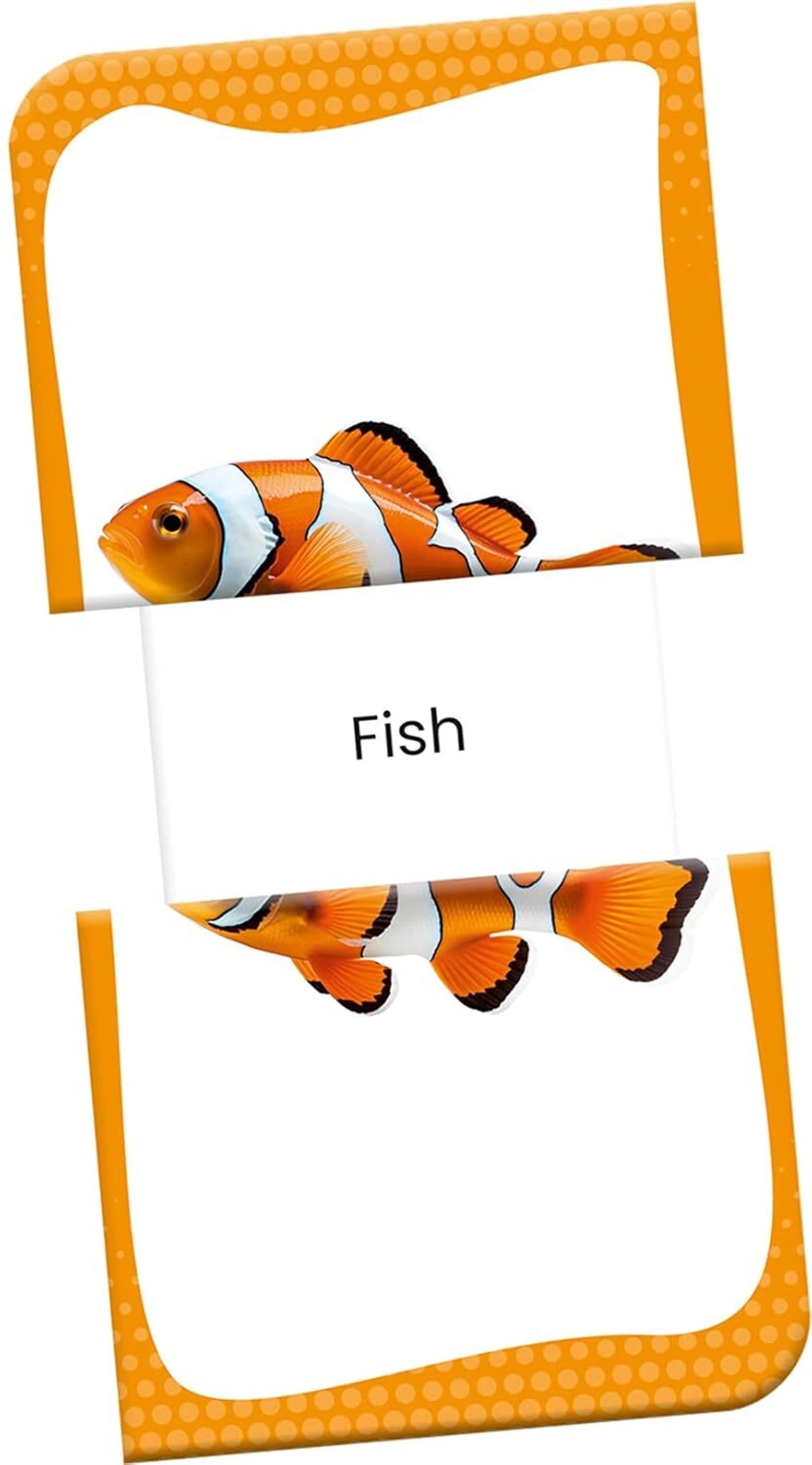 Slide & Learn Flashcards: First Words