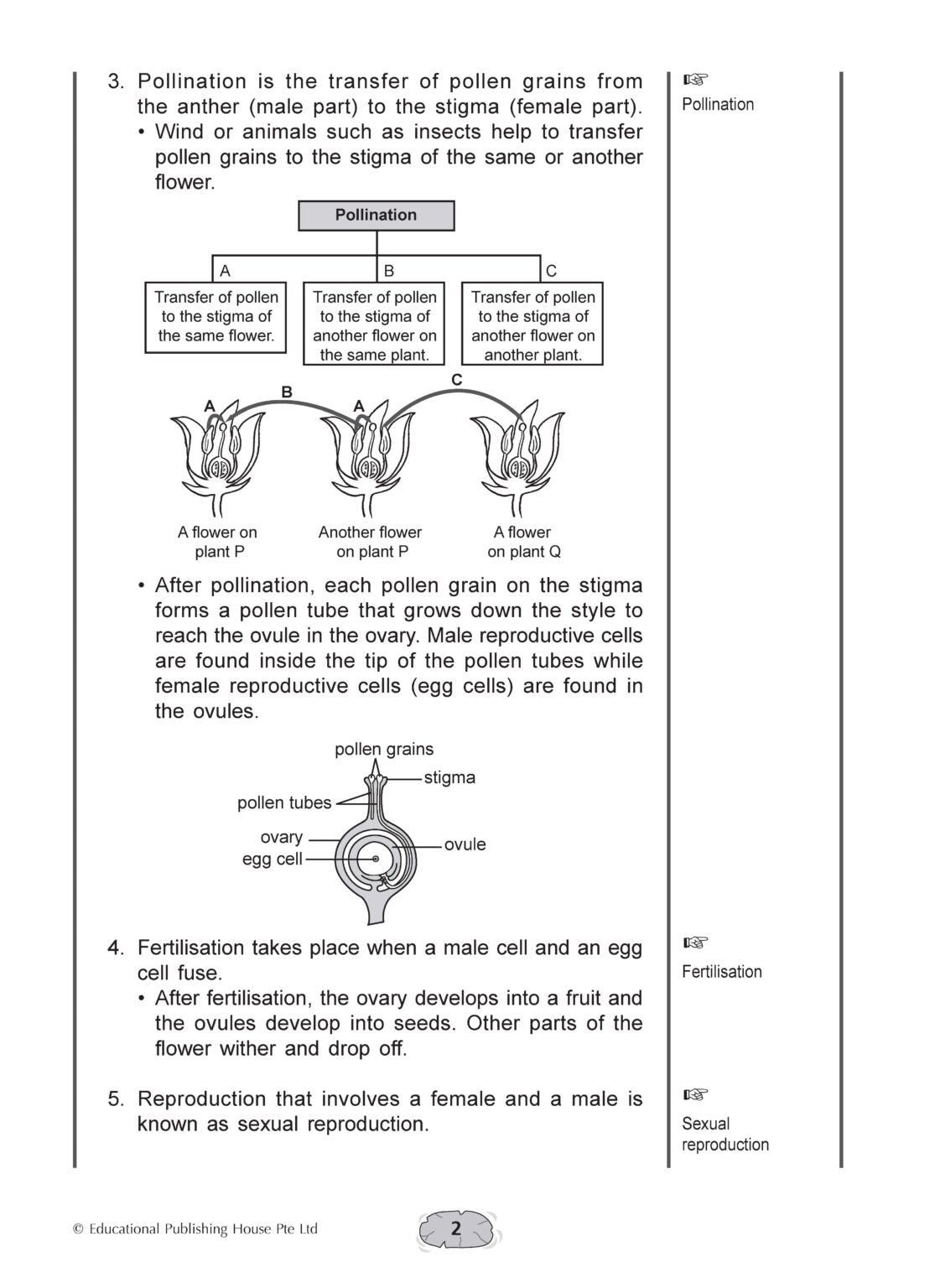 Upper Block 3-in-1 Science
