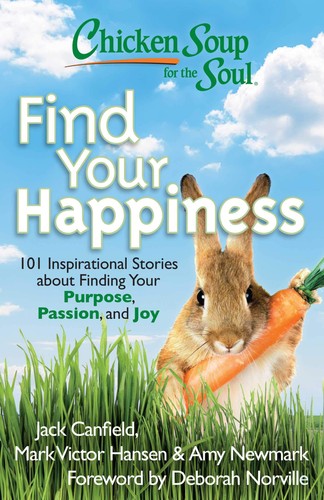 CS FOR THE SOUL: FIND YOUR HAPPINESS