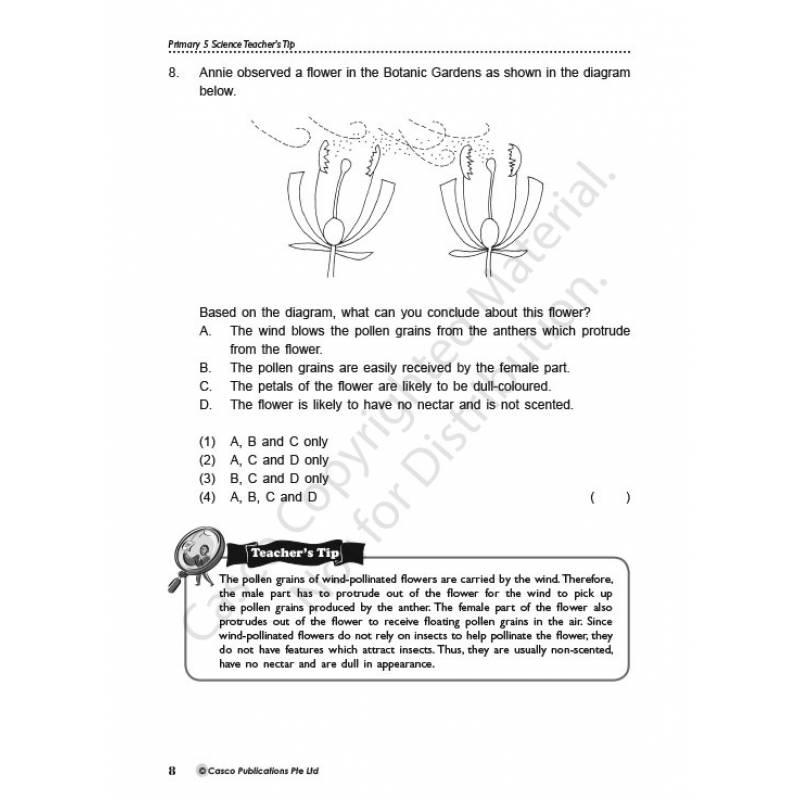 Science Teacher's Tips Book Upper Block Primary 5 & 6 - Book 1
