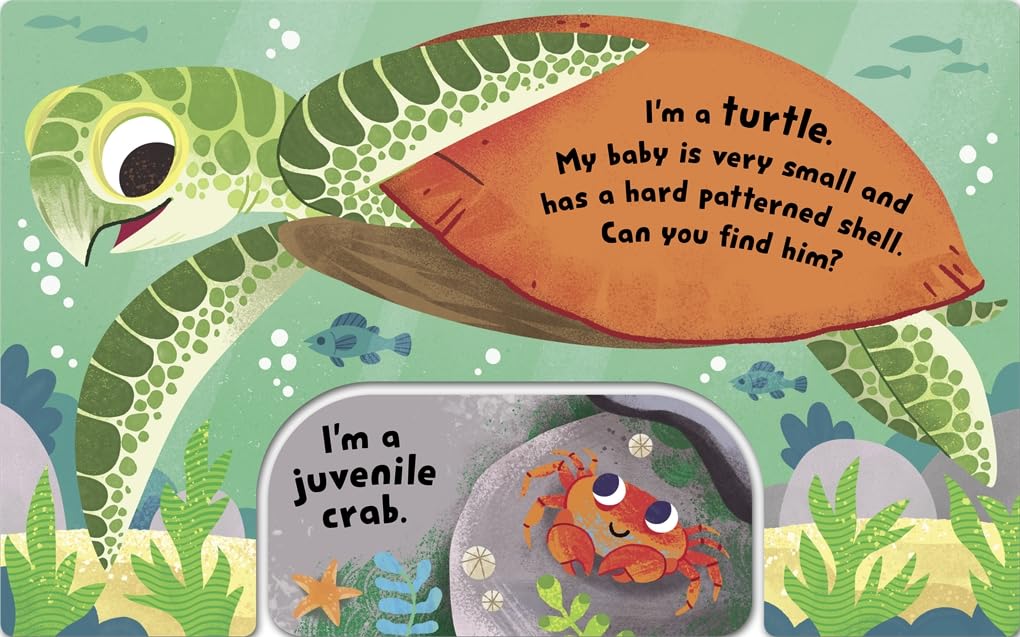 Animal Snap: Ocean