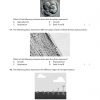 IGCSE Guide Biology Book 1 – Ordinary Level