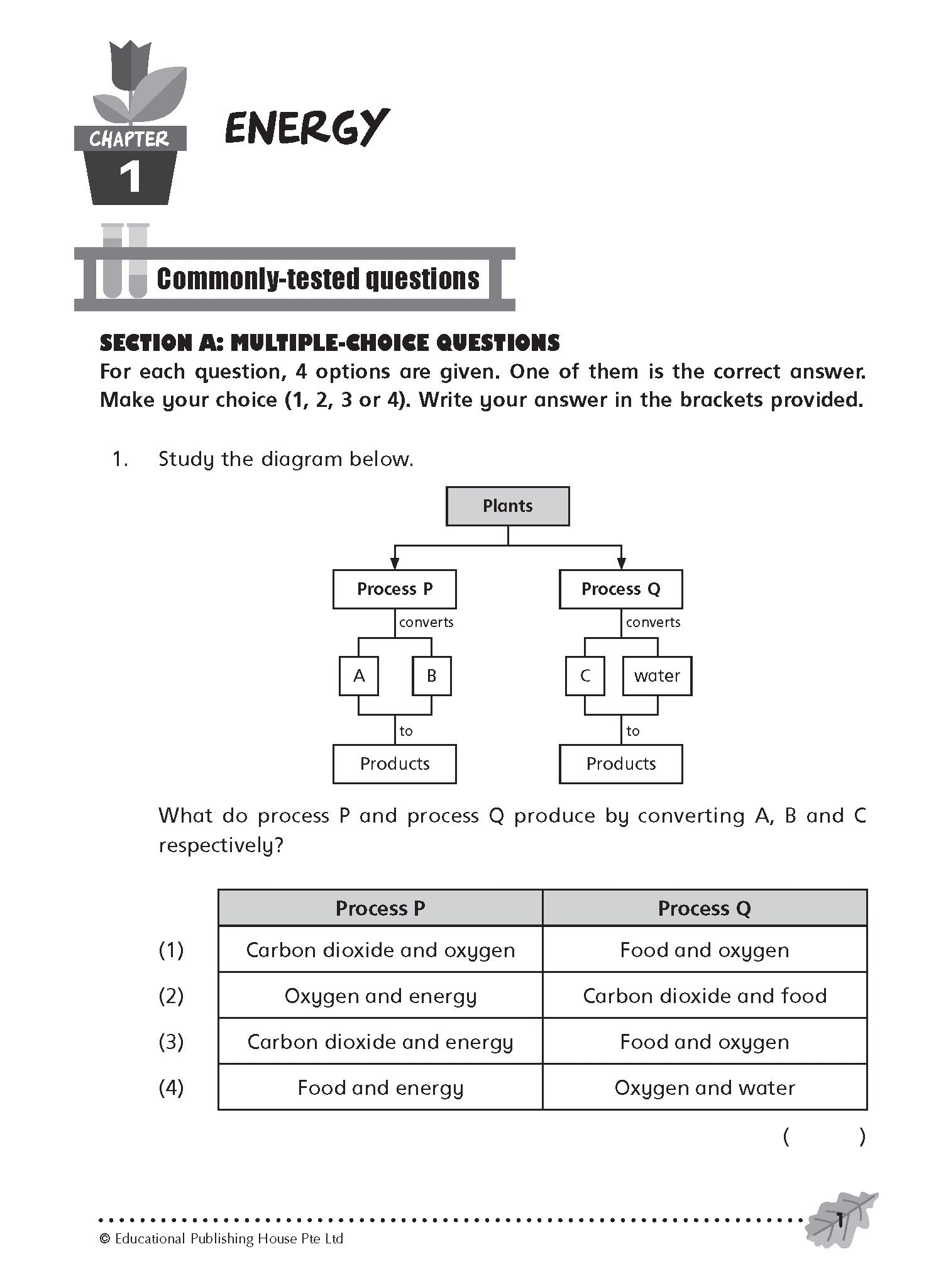 Primary 6 Commonly Tested Science Examination Questions