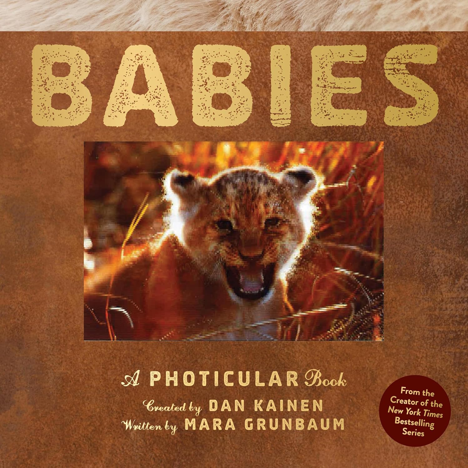 Babies: A Photicular Book (Hardcover)