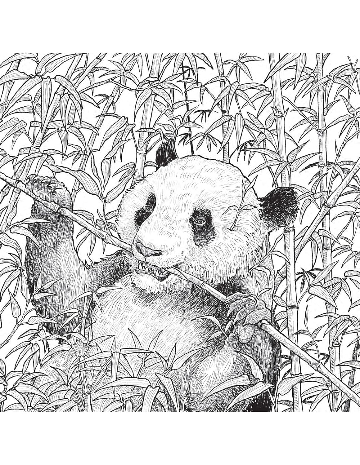 Fragile World Colouring Book