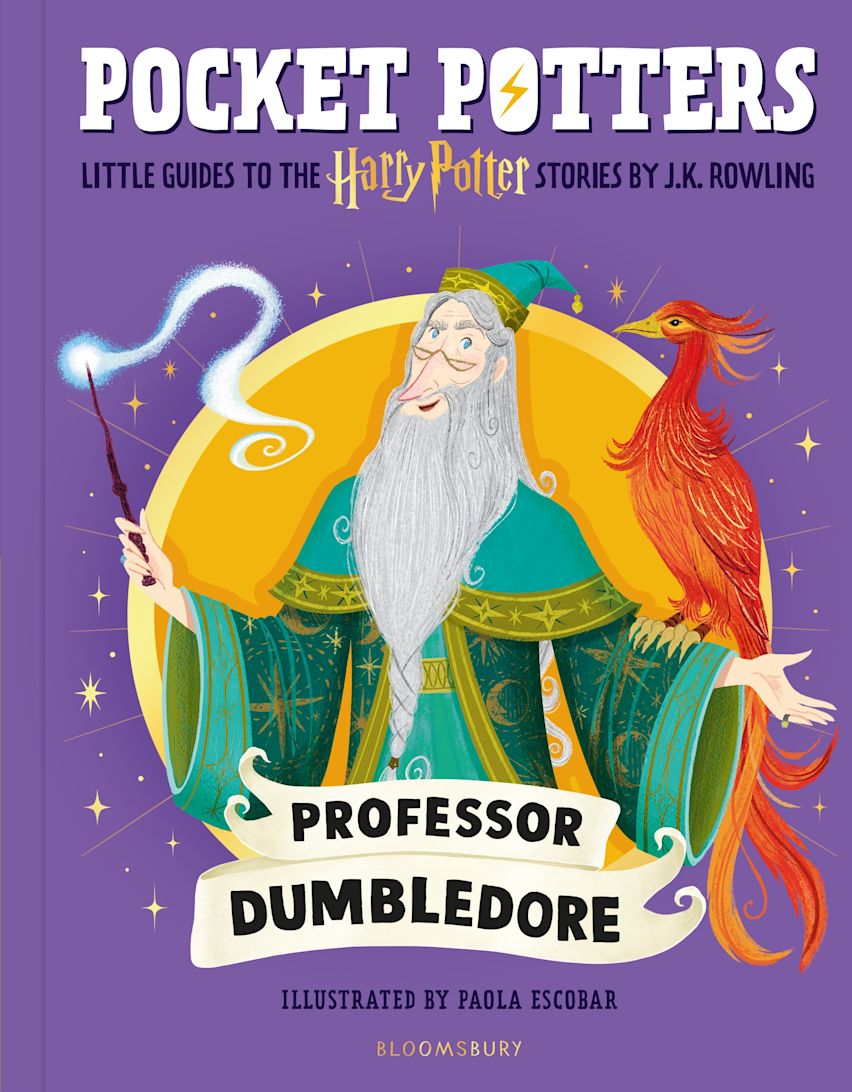 Harry Potter Pocket Potter: Professor Dumbledore (Hardback)