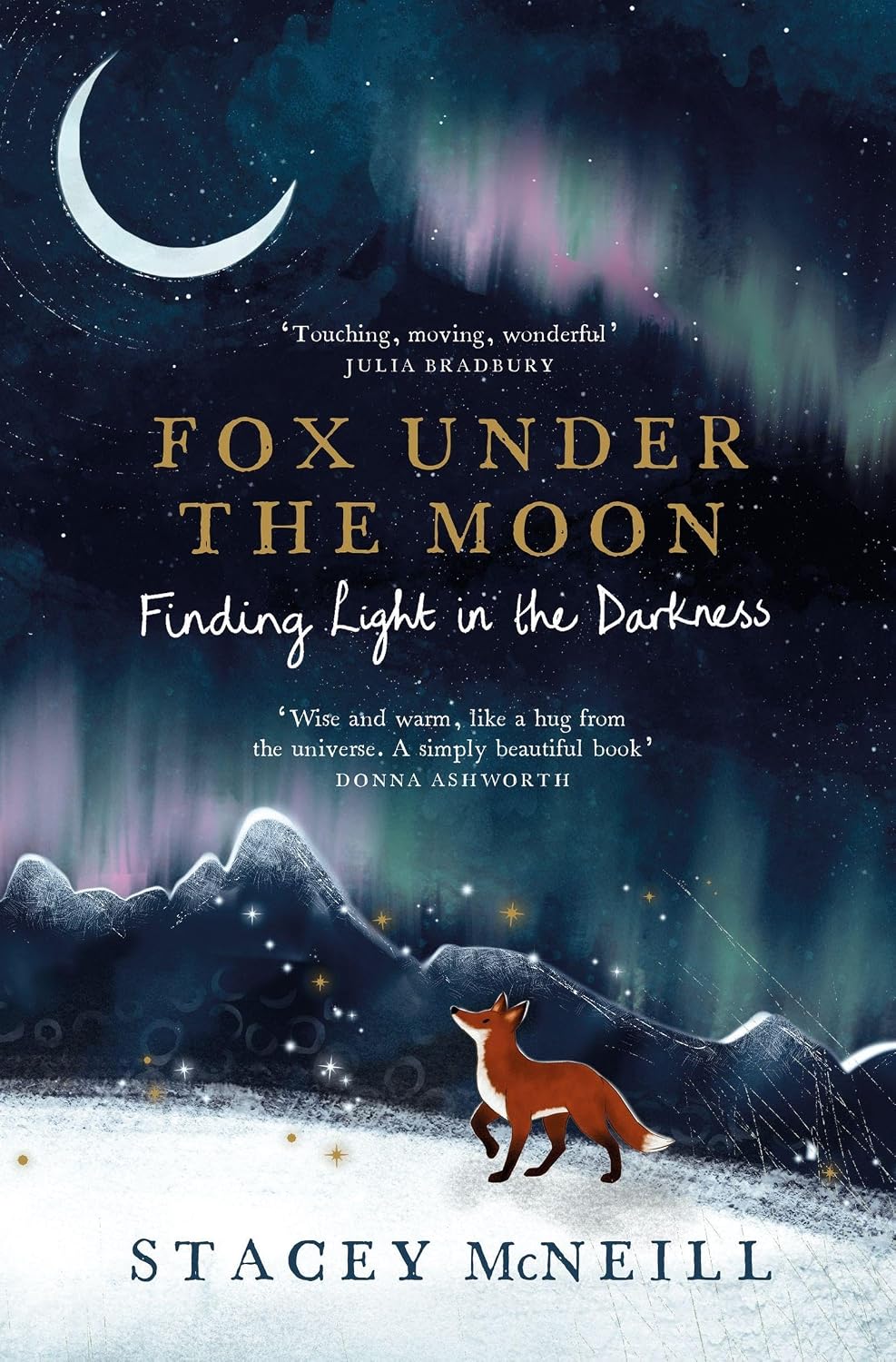 Fox Under the Moon 2: Finding Light in the Darkness (Hardcover)