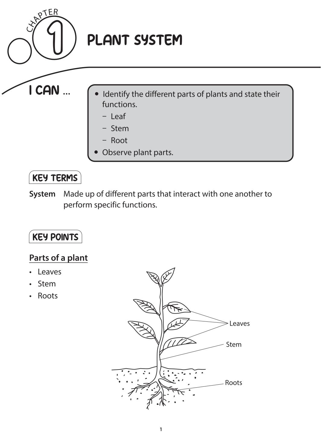 Science Topical Mastery Primary 4 Concept Notes & Application-based Practice