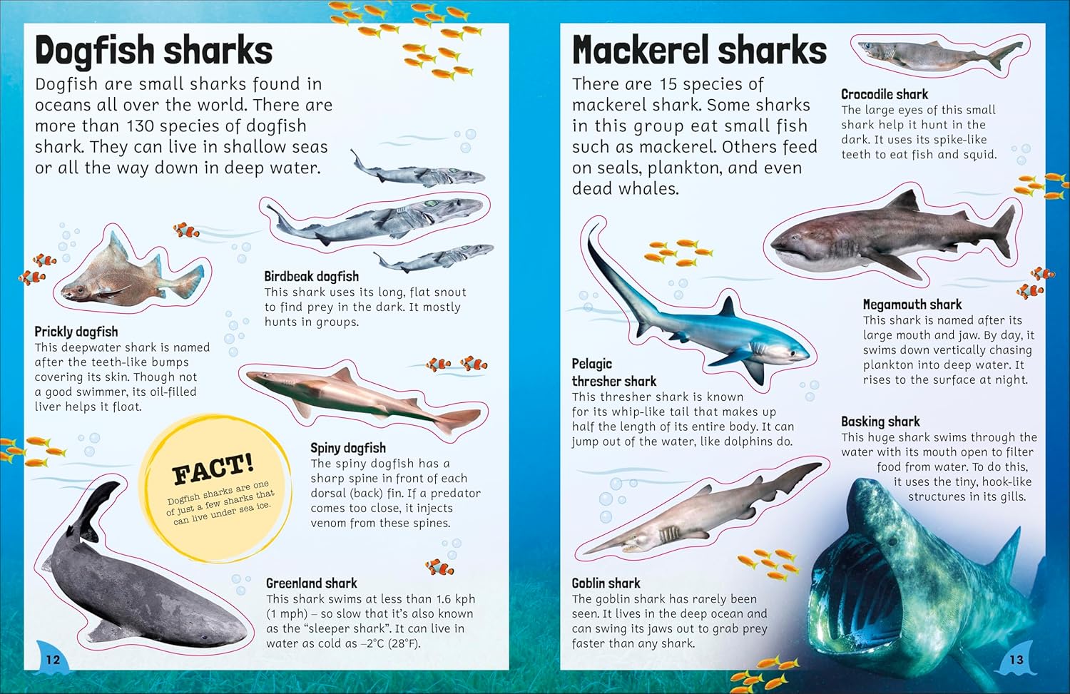 Sharks (Sticker Encyclopedia)