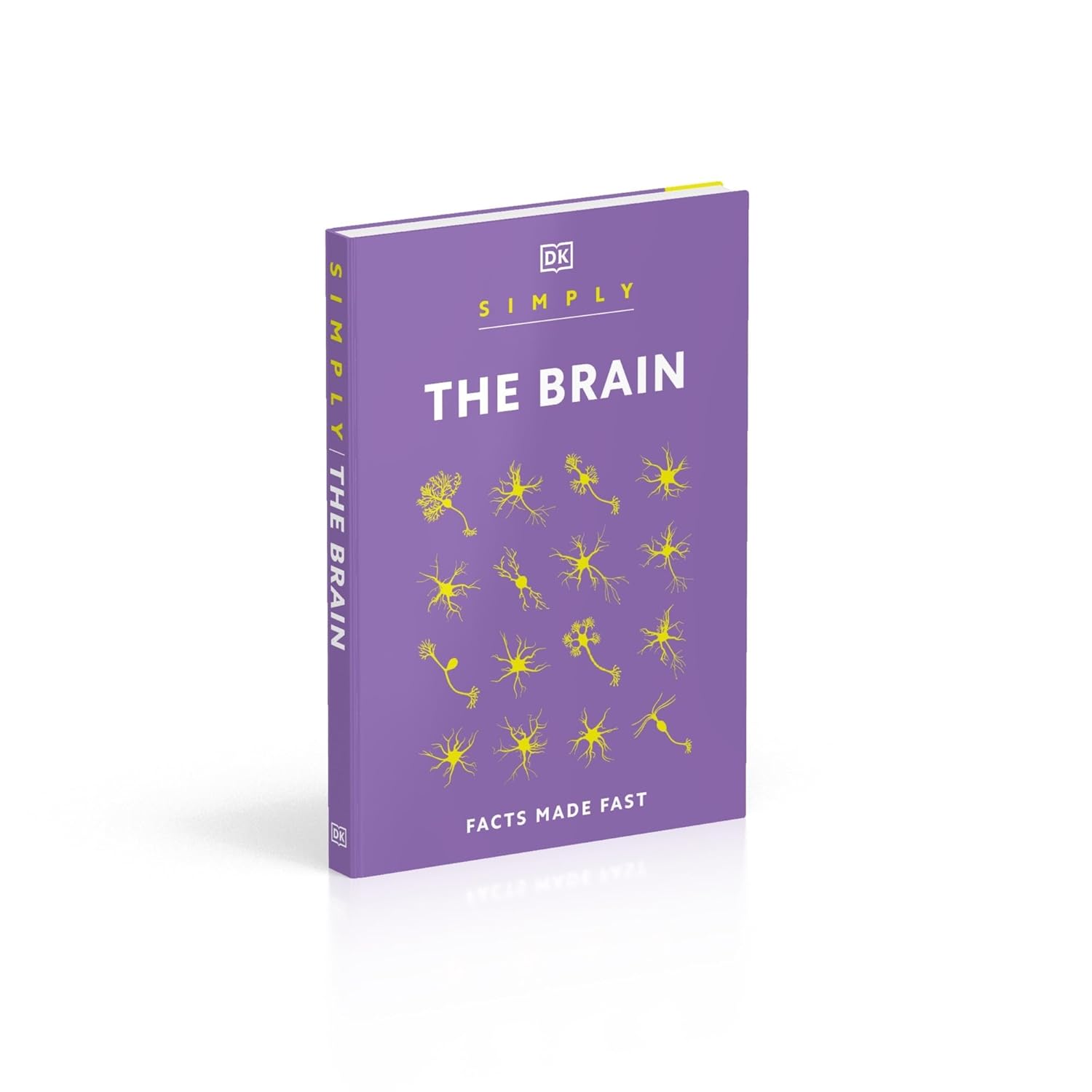Simply The Brain