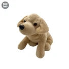 Uw Ss 12 Brown Dog