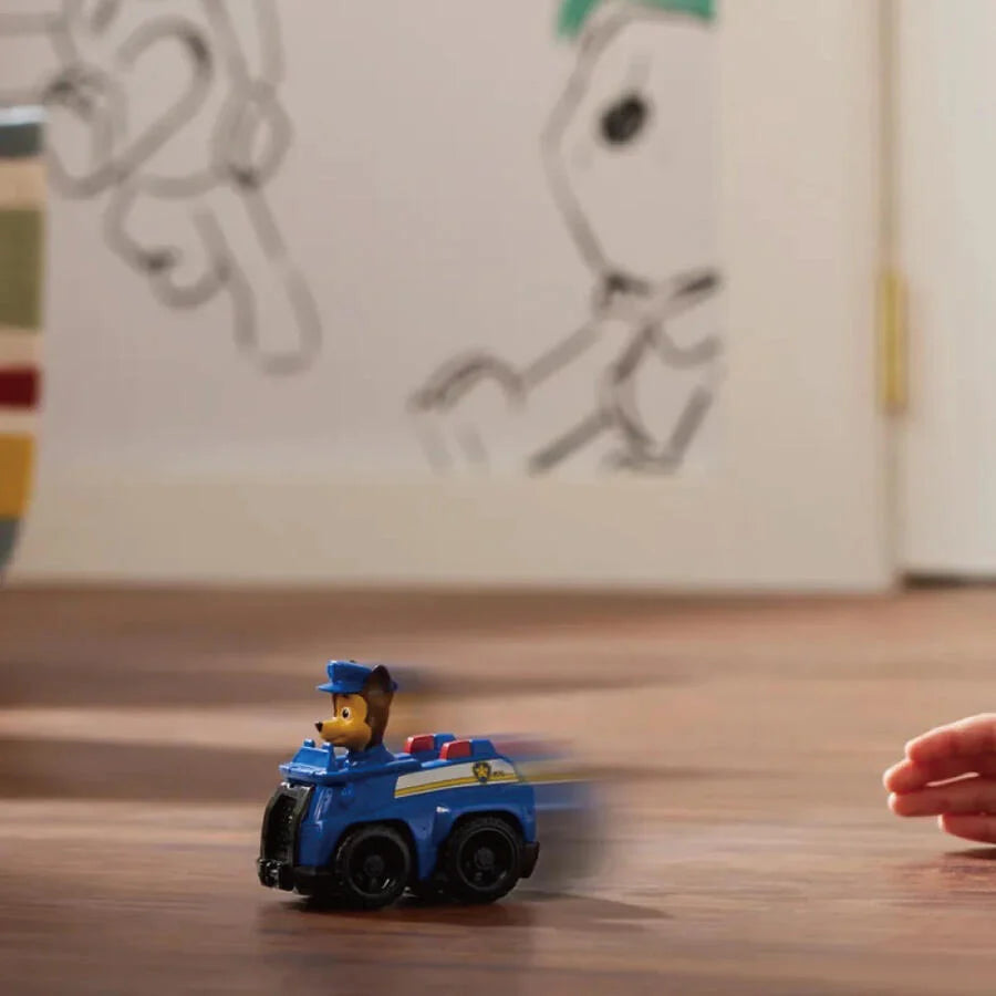 PAW PATROL DELUXE RESCUE RACER ASSORTED