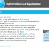 O/N Level (G3/G2) Science Biology Quick Revision Handbook 