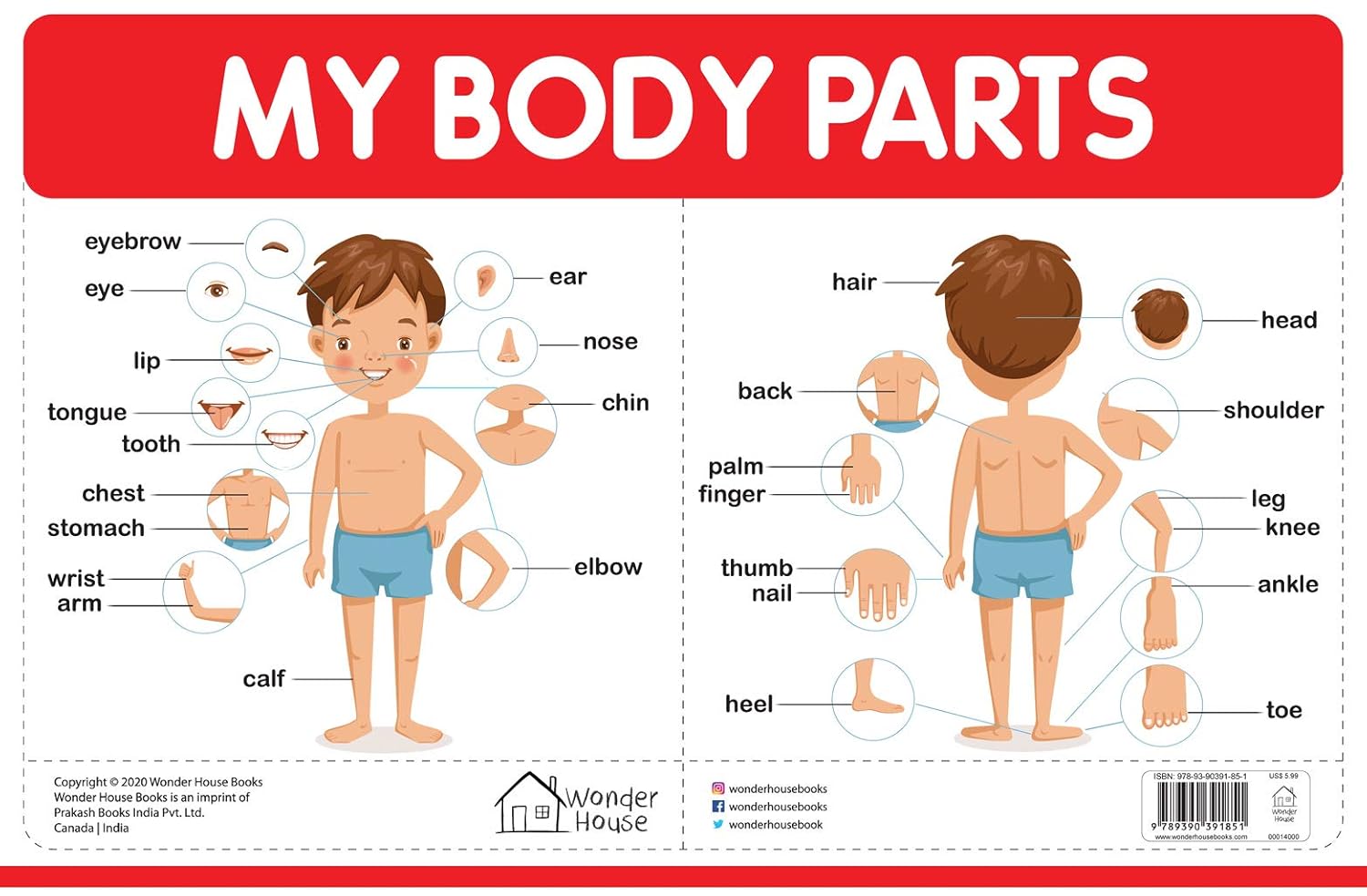 My Body Parts - My First Early Learning Wall Chart