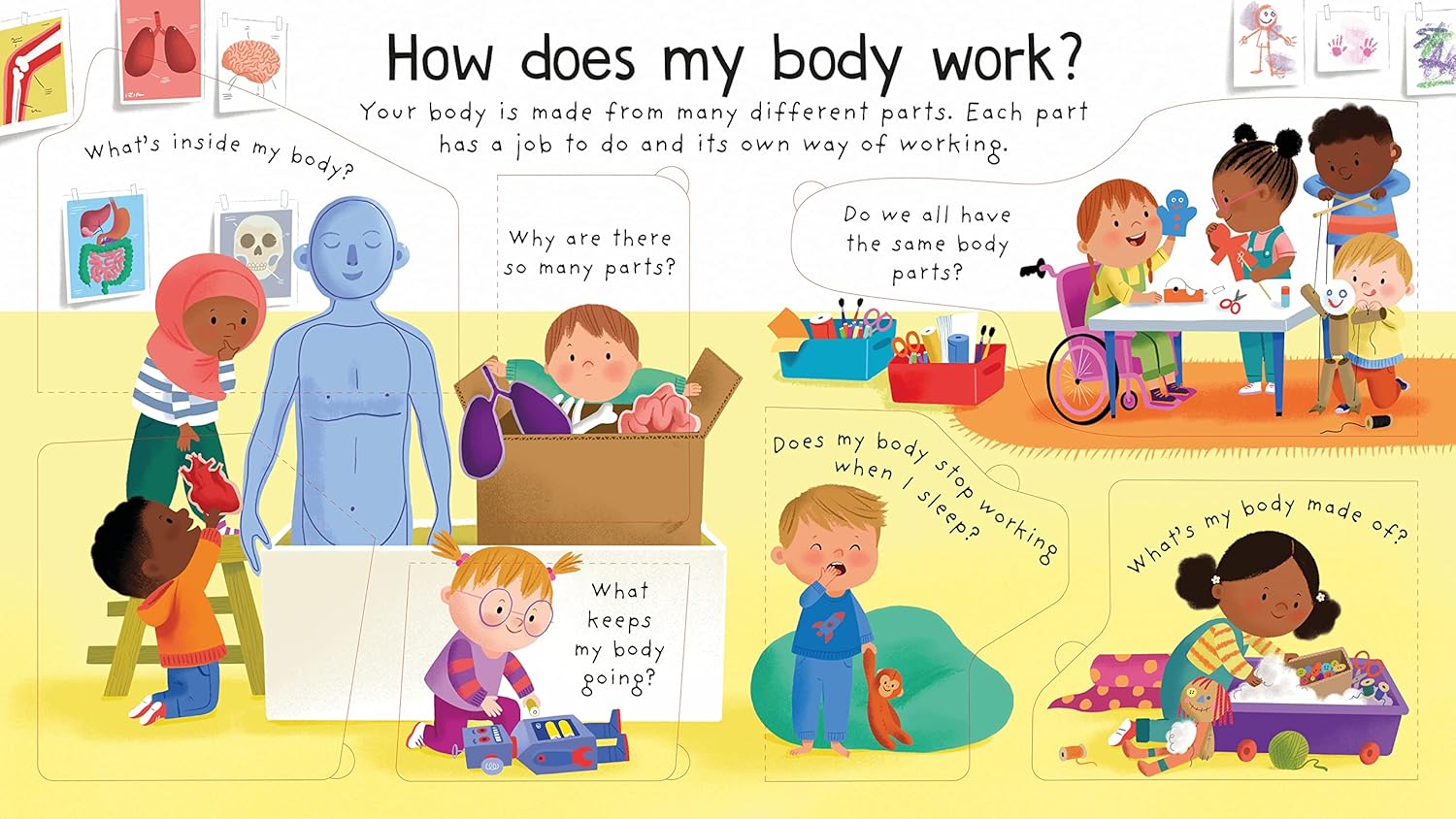 First Questions and Answers: How Does My Body Work?