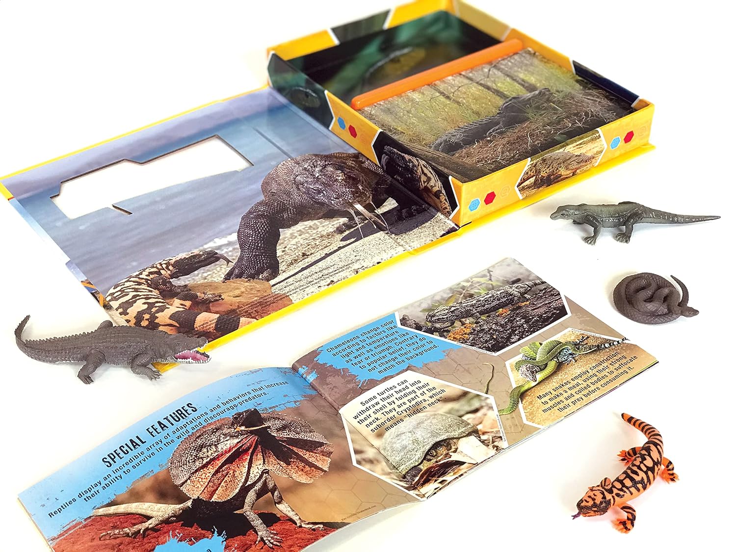 Pocket Explorer: Reptiles – Popular Book Company Pte Ltd