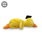 Uw 12 Graduation Yellow Duck
