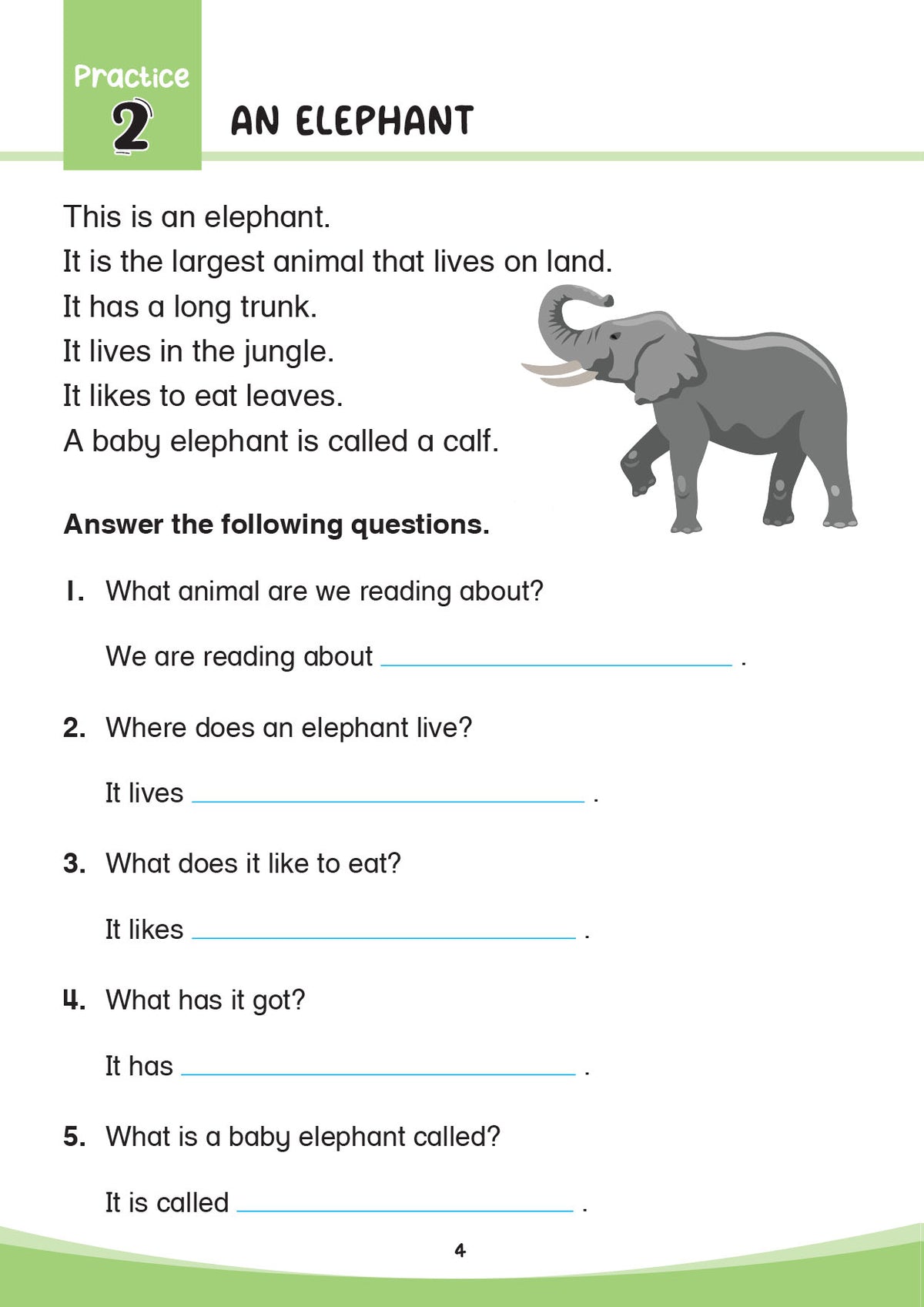 Reading & Writing Comprehension Activities: Selective 5+
