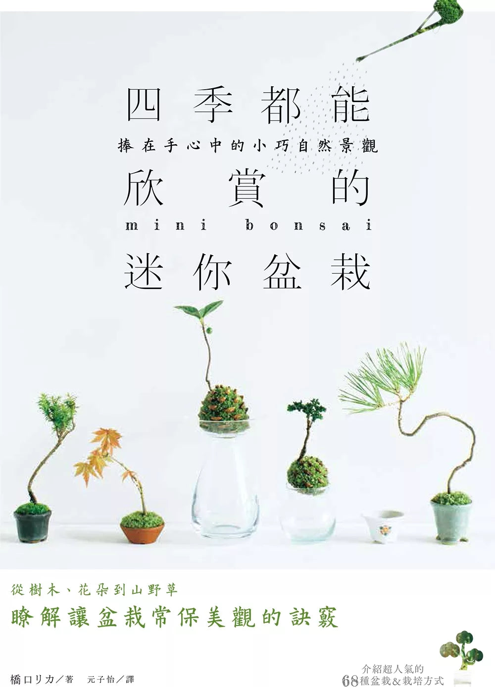 四季都能欣赏的迷你盆栽：捧在手心中的小巧自然景观