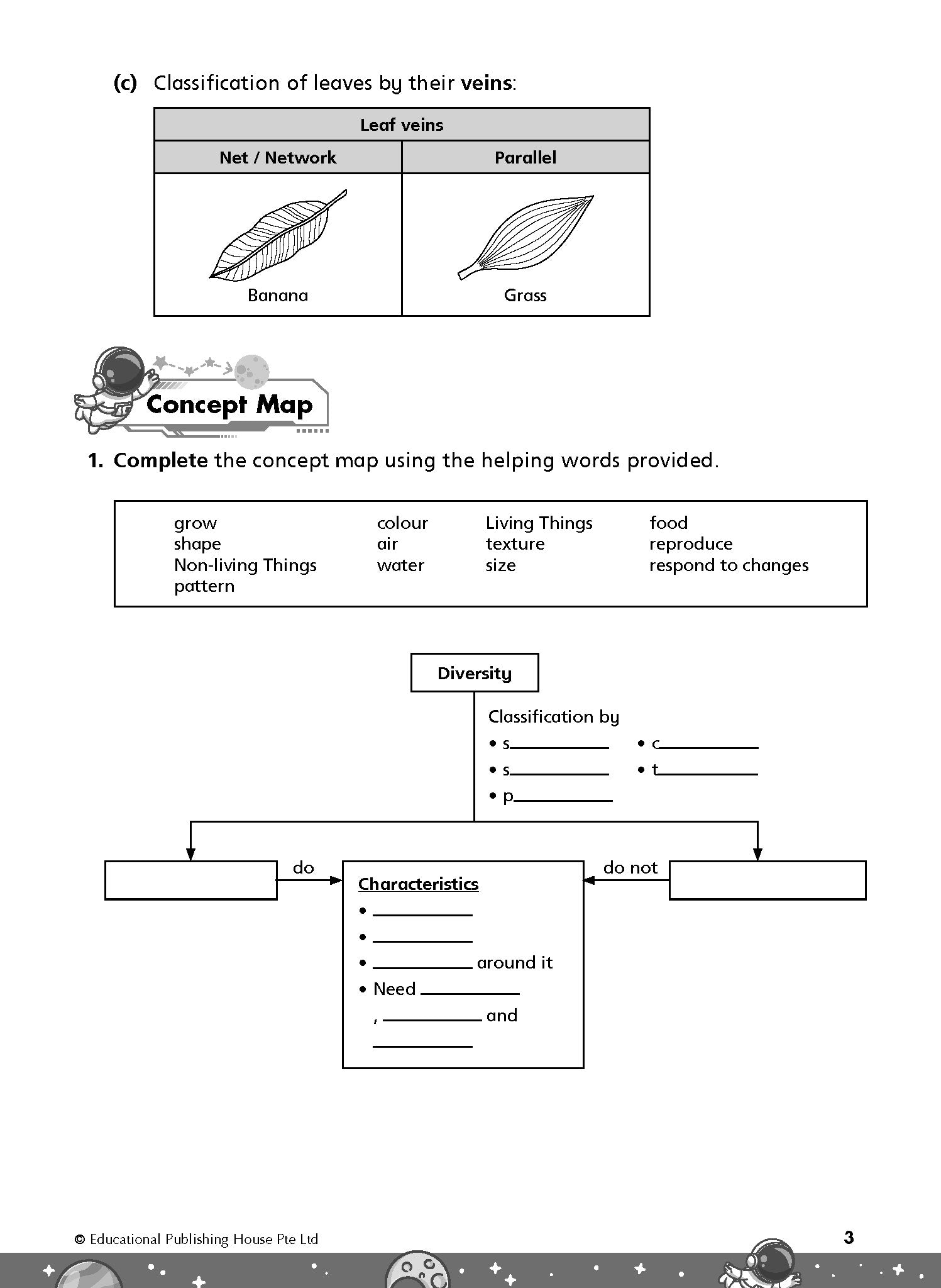 Primary 3 Rise To Excel In Science