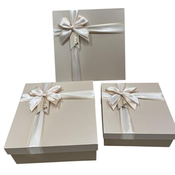 Gift Box (M) 24*24*10 Y92314