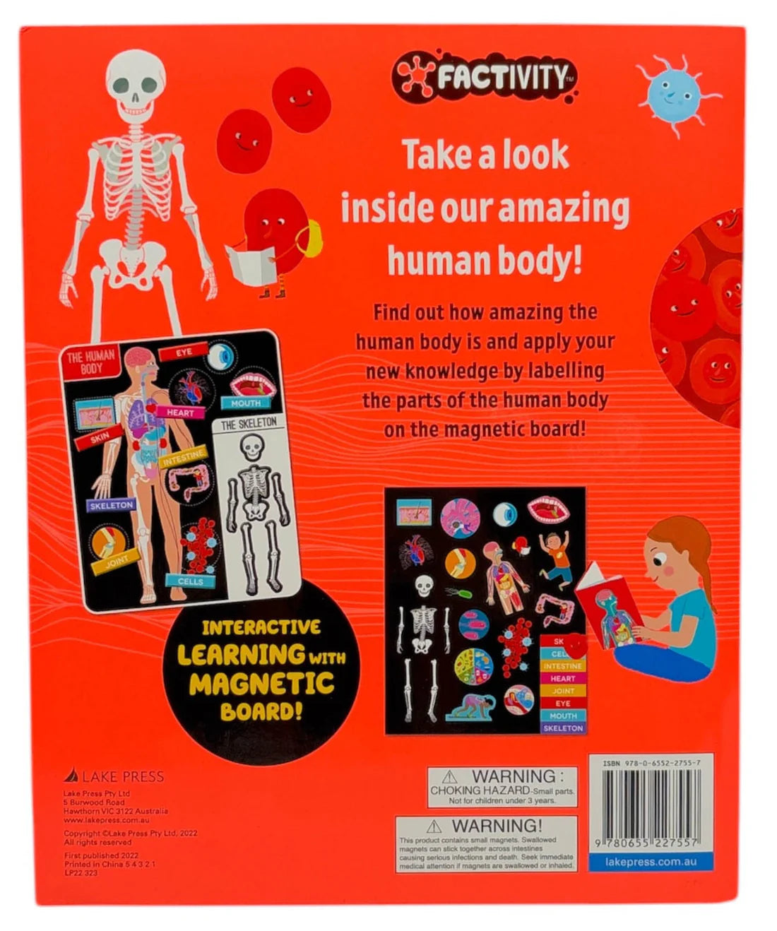 Factivity Magnetic Folder - Human Body - Novelty Book