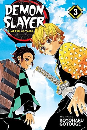 Demon Slayer: Kimetsu No Yaiba, Vol. 3 (Manga)