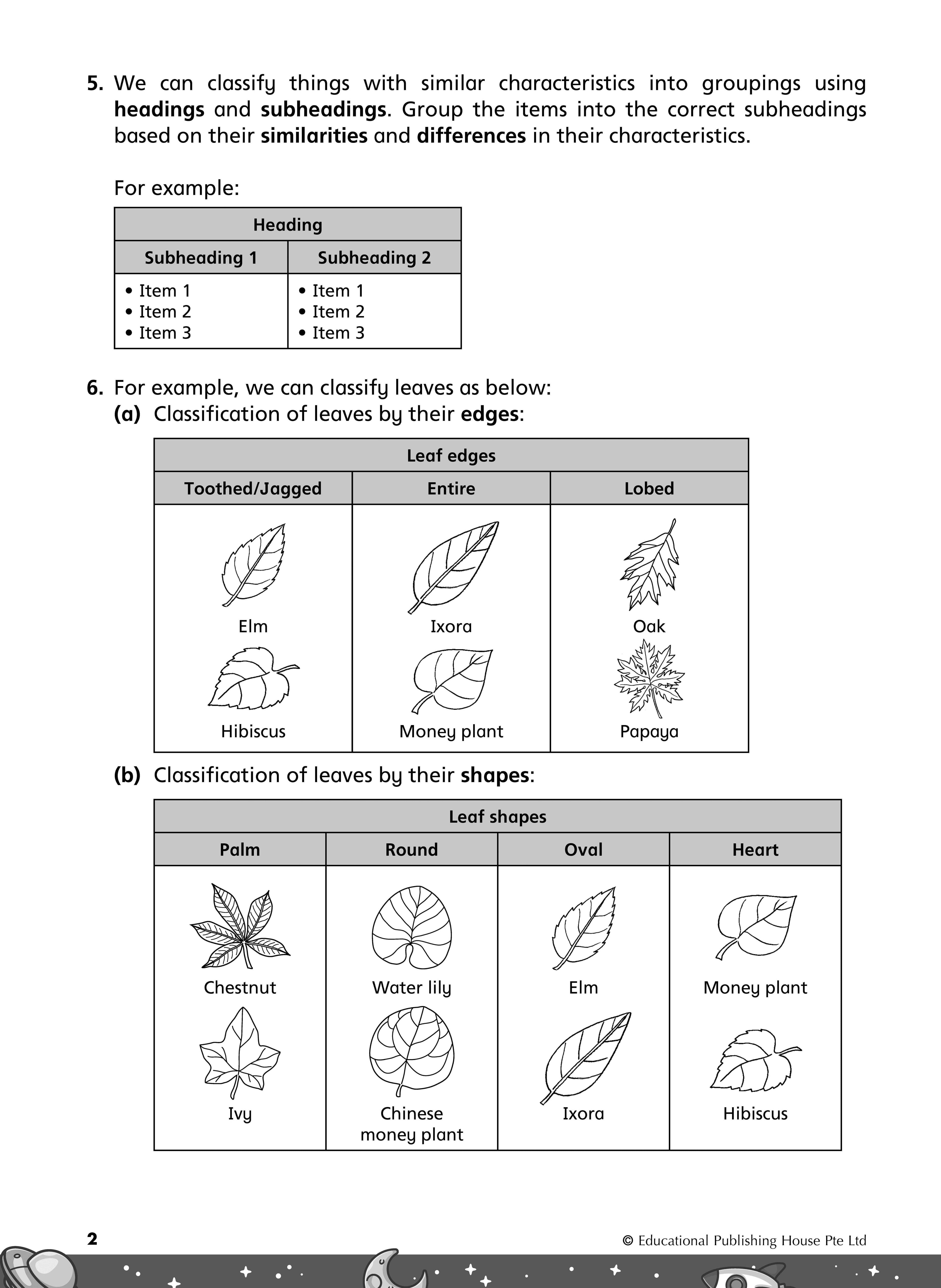 Primary 3 Rise To Excel In Science