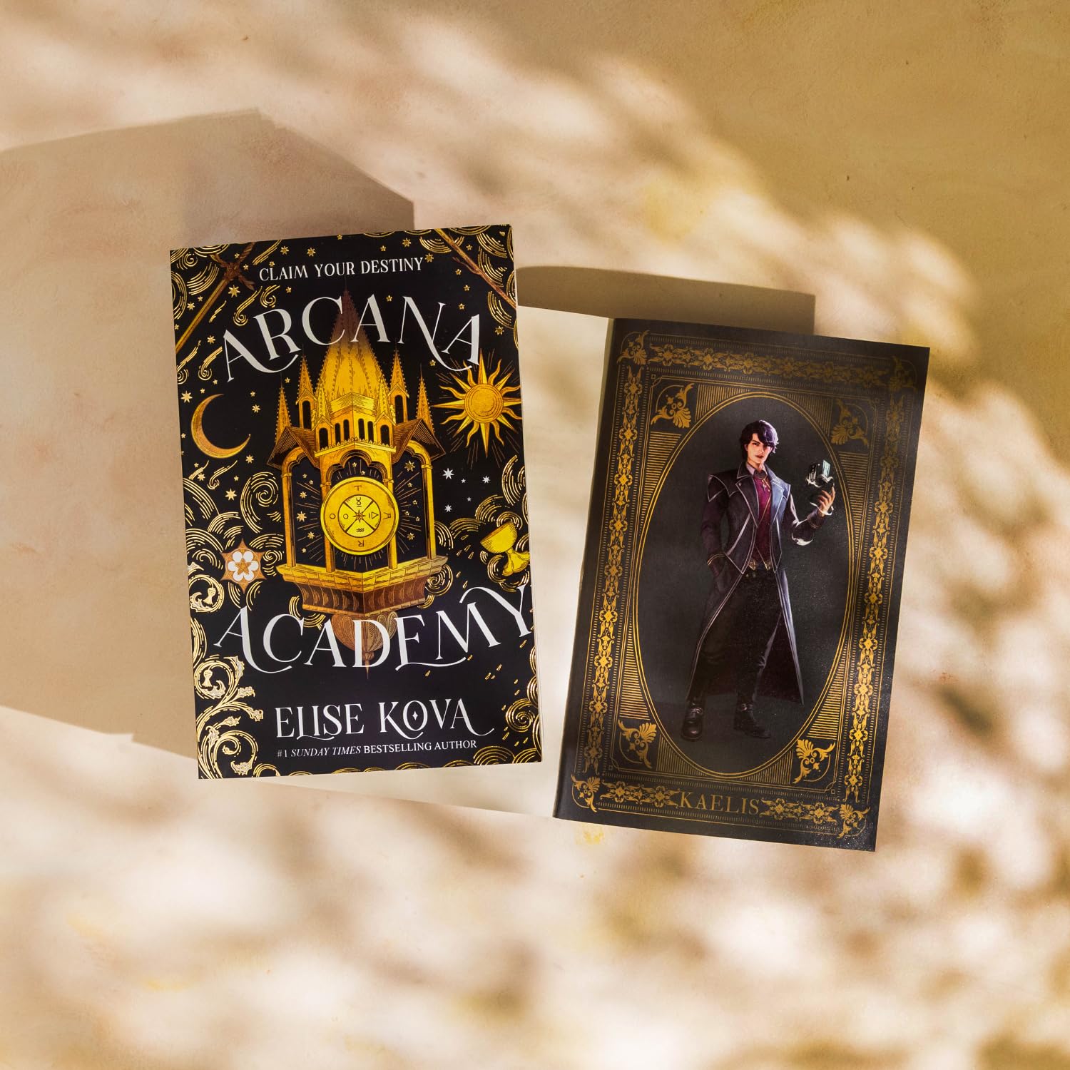 Arcana Academy (Paperback)