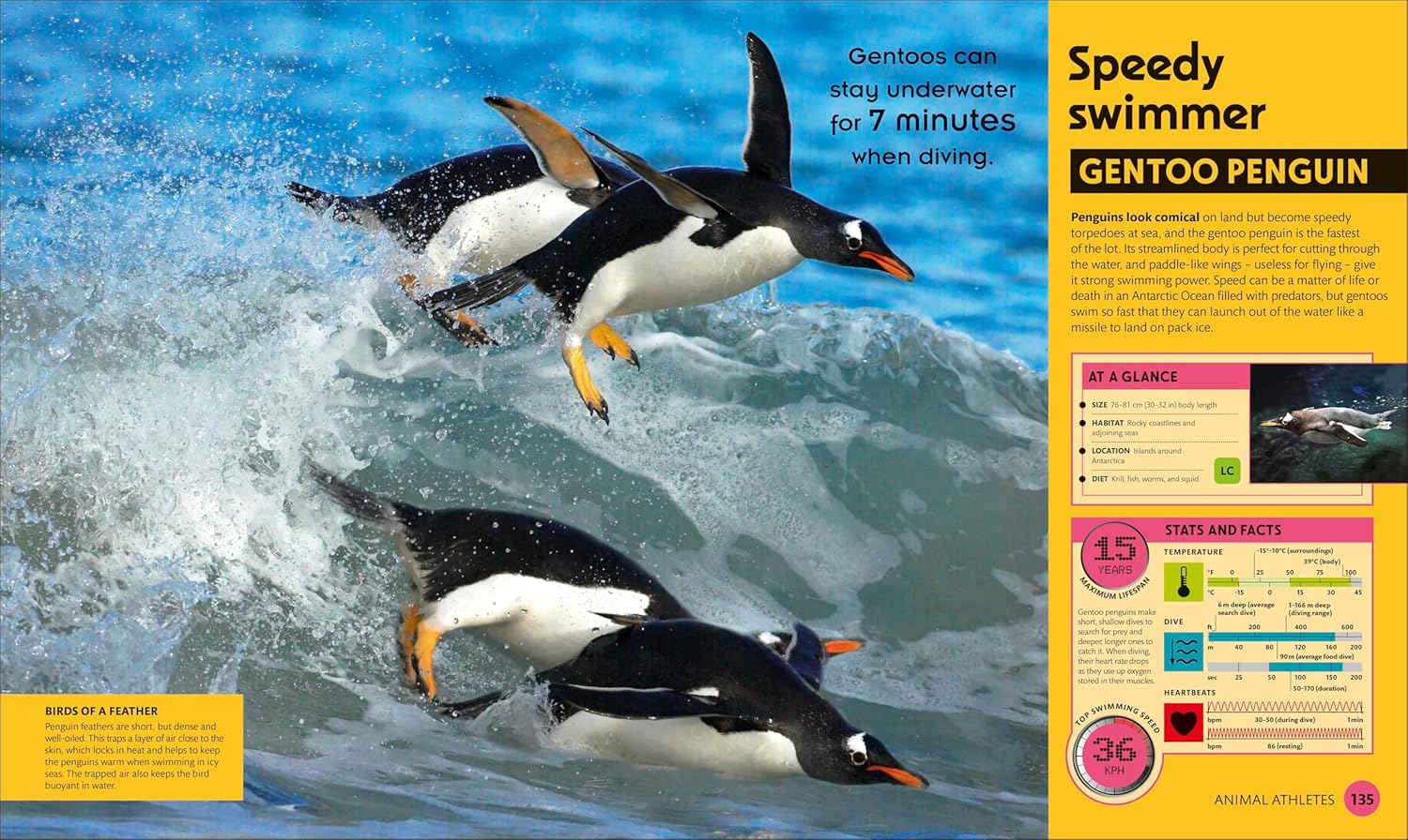 Super Nature: The 100 Biggest, Fastest, Deadliest Creatures on the Planet (DK Super Nature Encyclopedias) - 2nd Edition