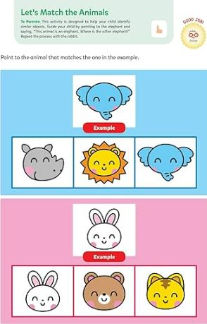 Playsmart Brain Boosters 2+