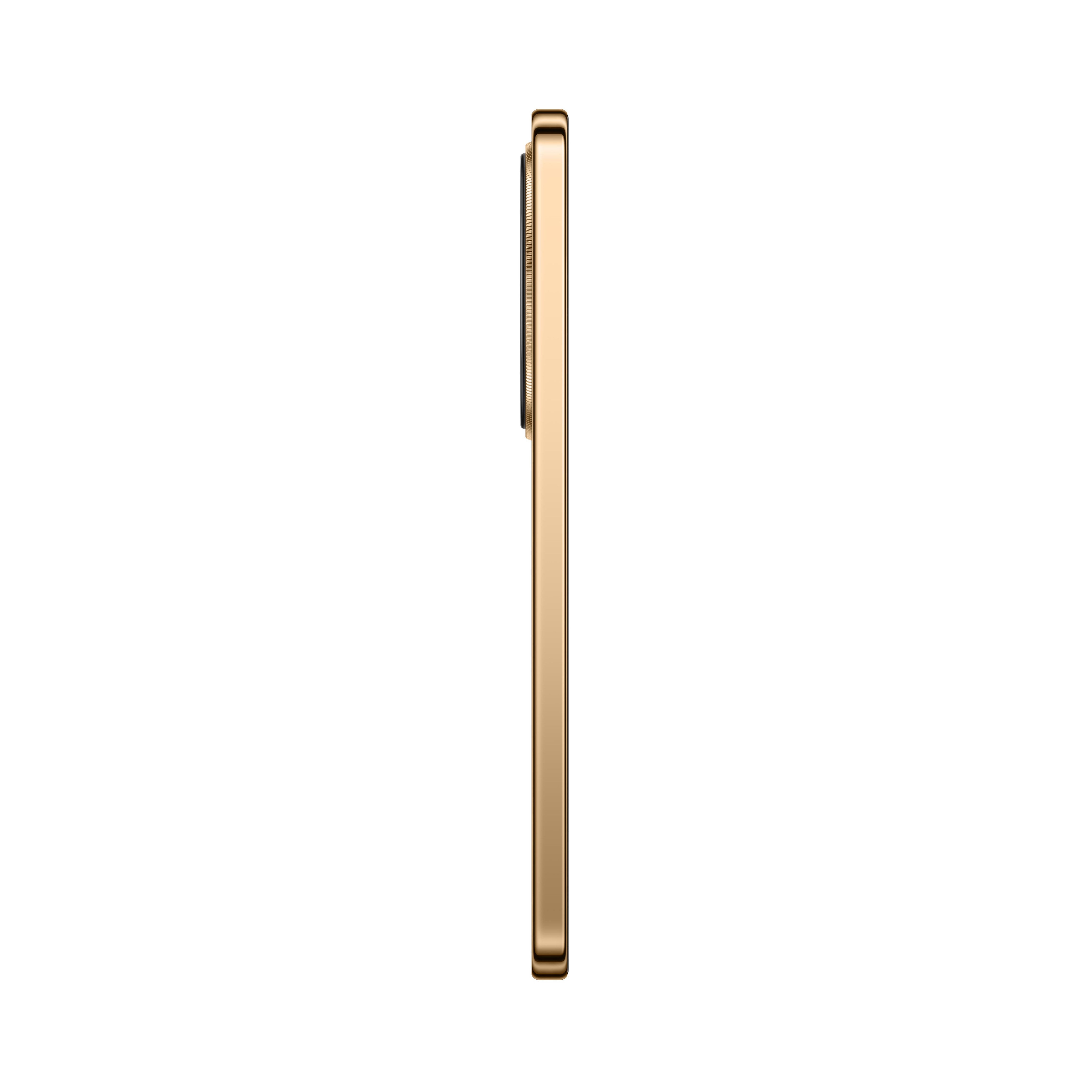 Honor X9D (12+256GB) - Brown