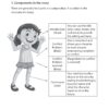 Primary 3 English Model Compositions and Phrases