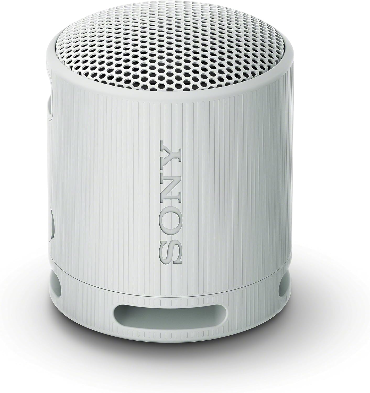 Sony Xb100 Portable Wireless Speaker (light Gray)