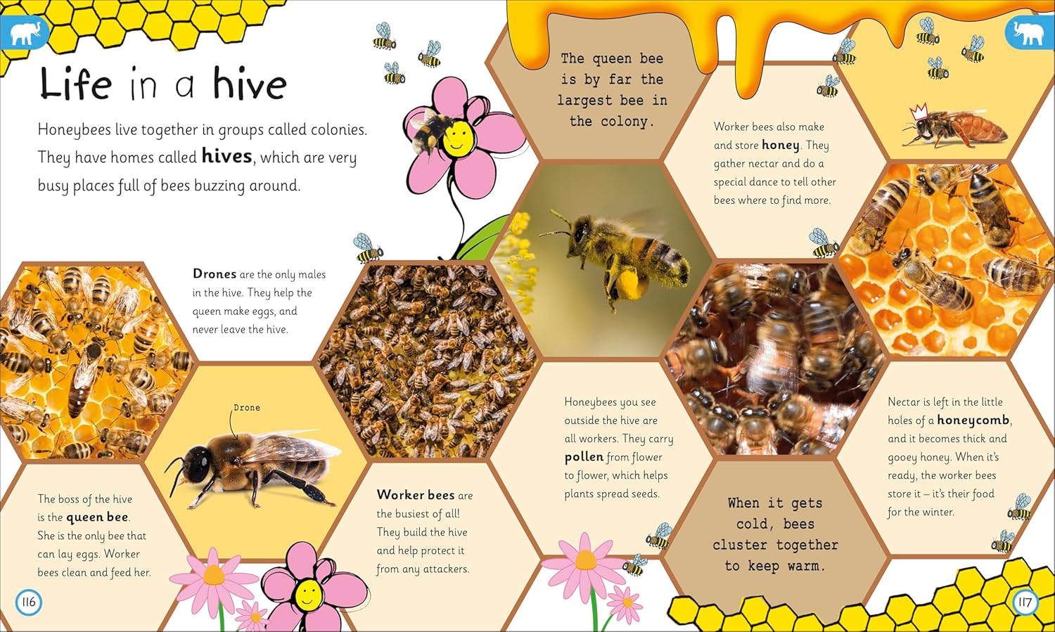 My Encyclopedia of Very Important Animals: For Little Animal Lovers Who Want to Know Everything (Hardcover)