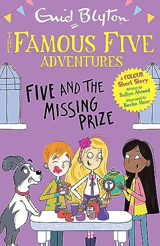 FAMOUSFIVE COLOUR READS: FIVE & THE MISS