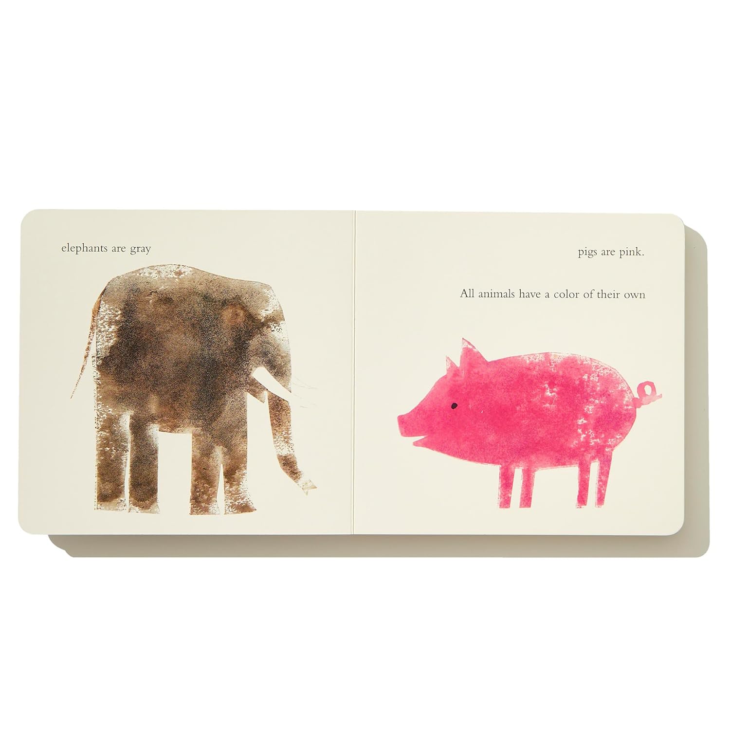 A Color of His Own with Color Wheel (Board Book)